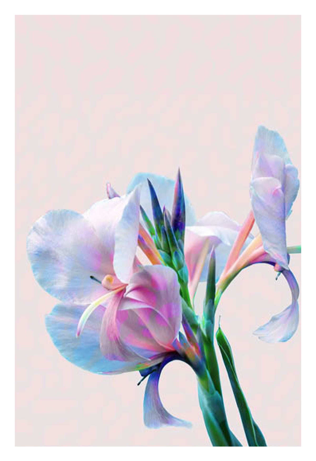 A Poster A Day—1127