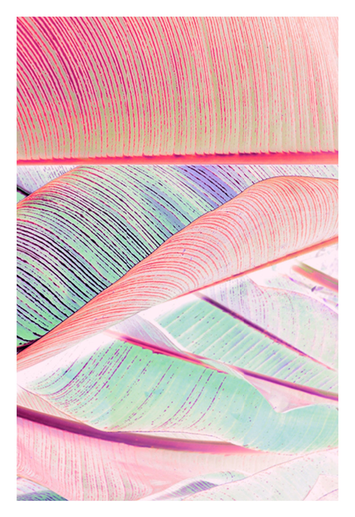 A Poster A Day—1184