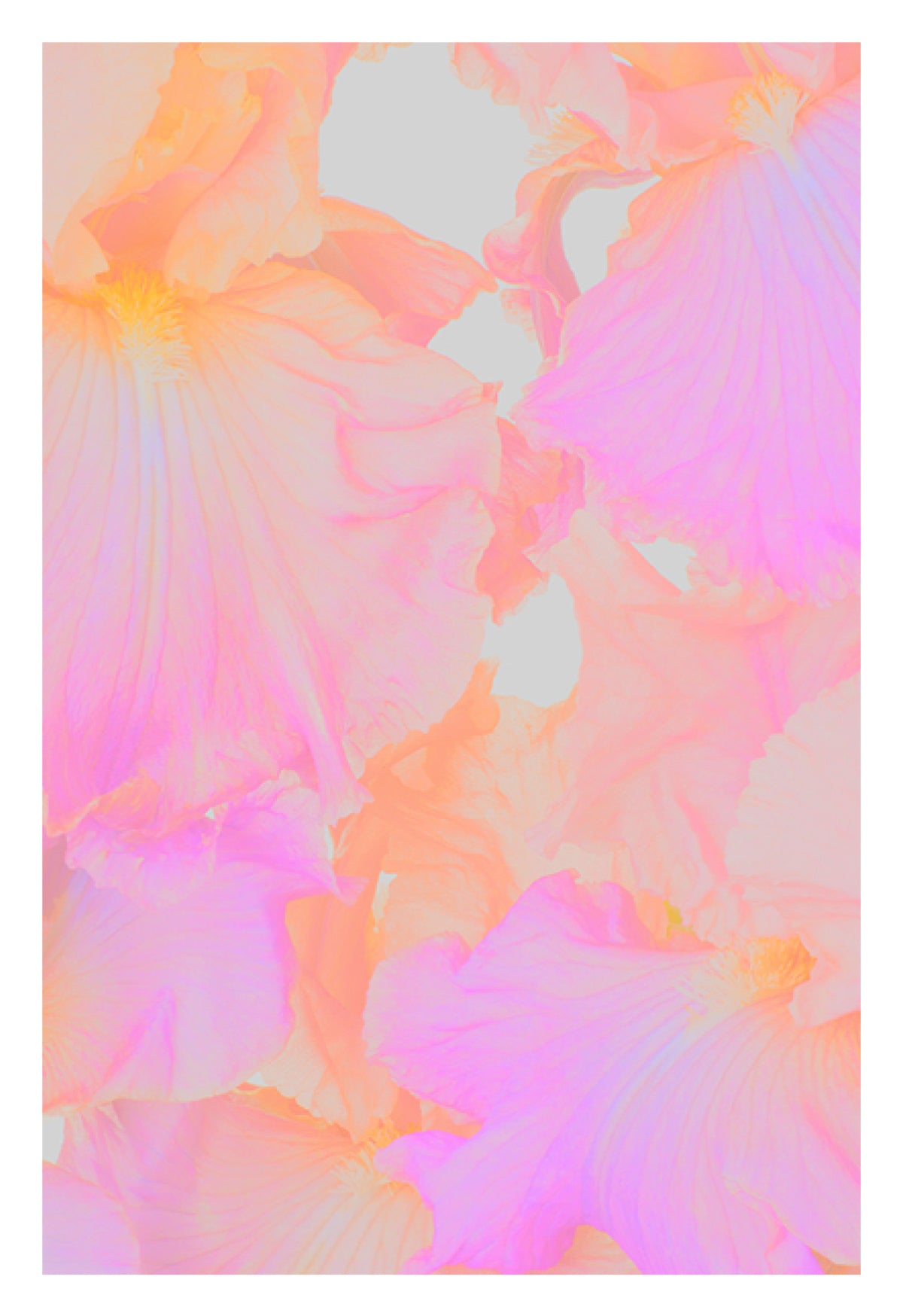 A Poster A Day—1237