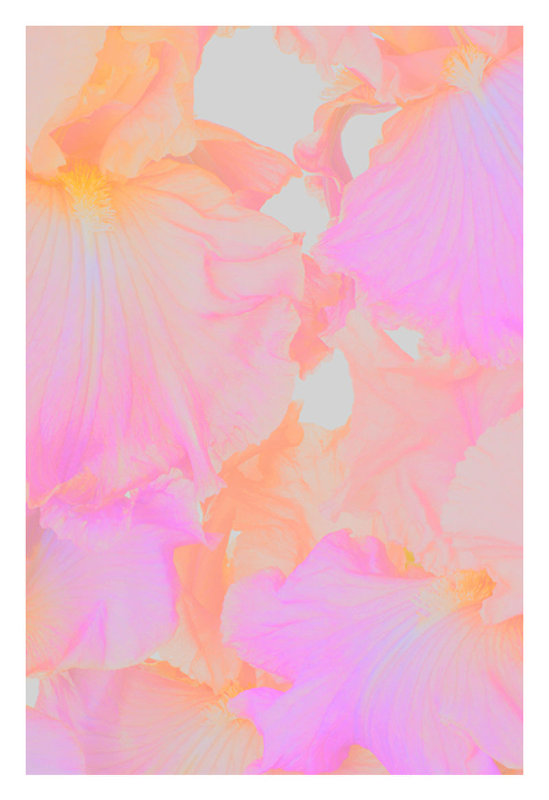 A Poster A Day—1237