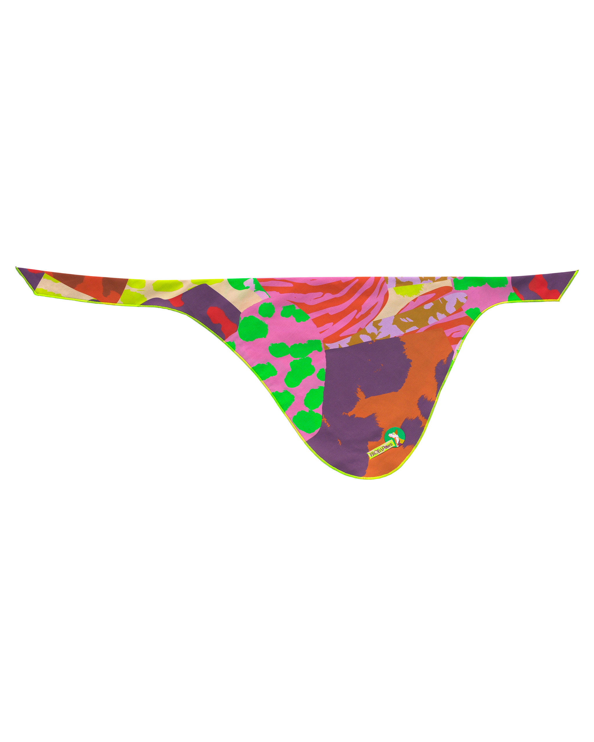 The "Playground" Bandana