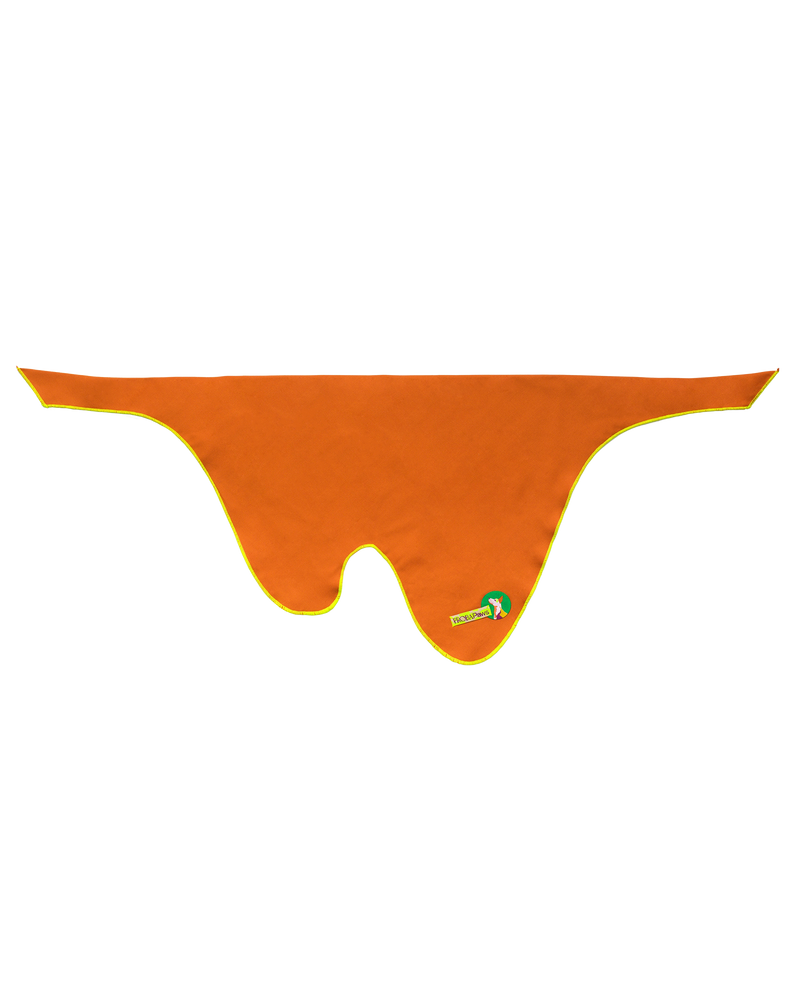 The "Canyon" Bandana