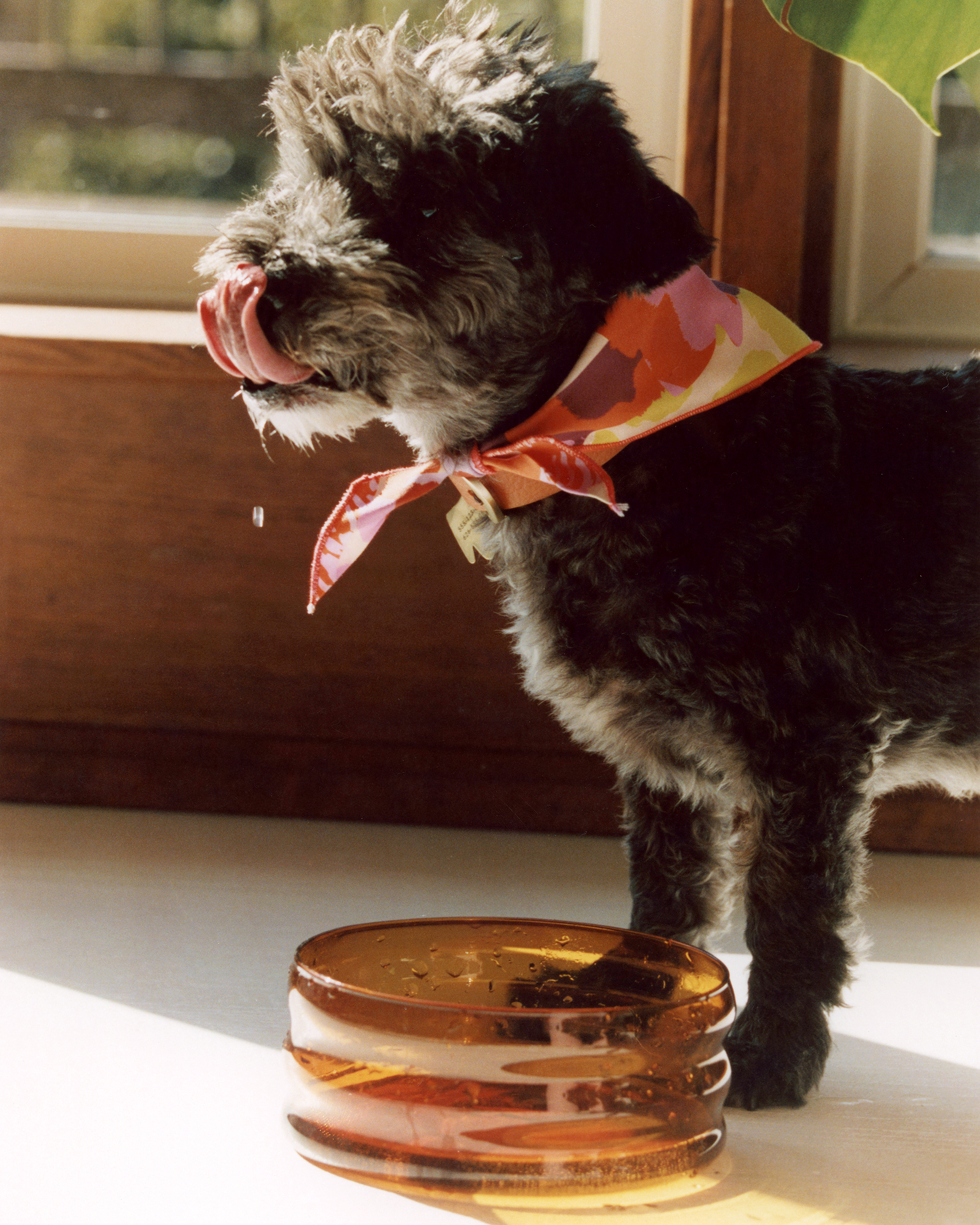 The "Ripple" Bowl