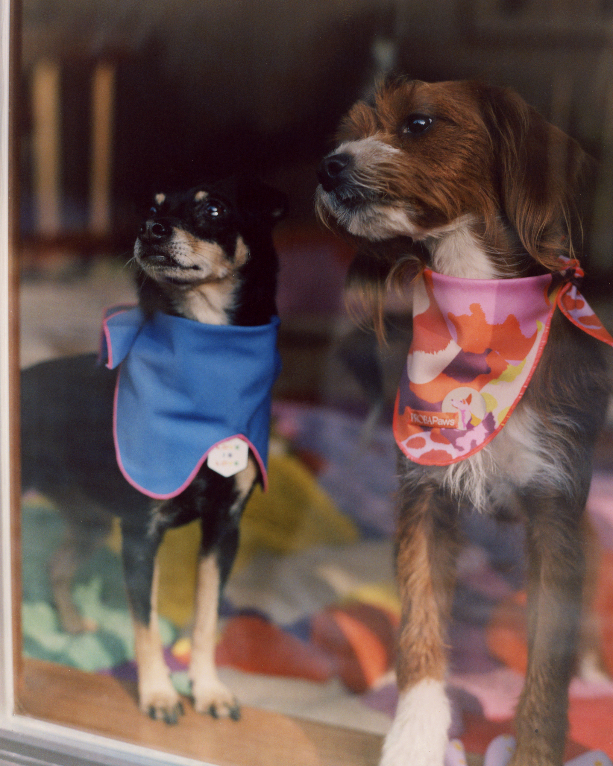 The "Wave" Bandana