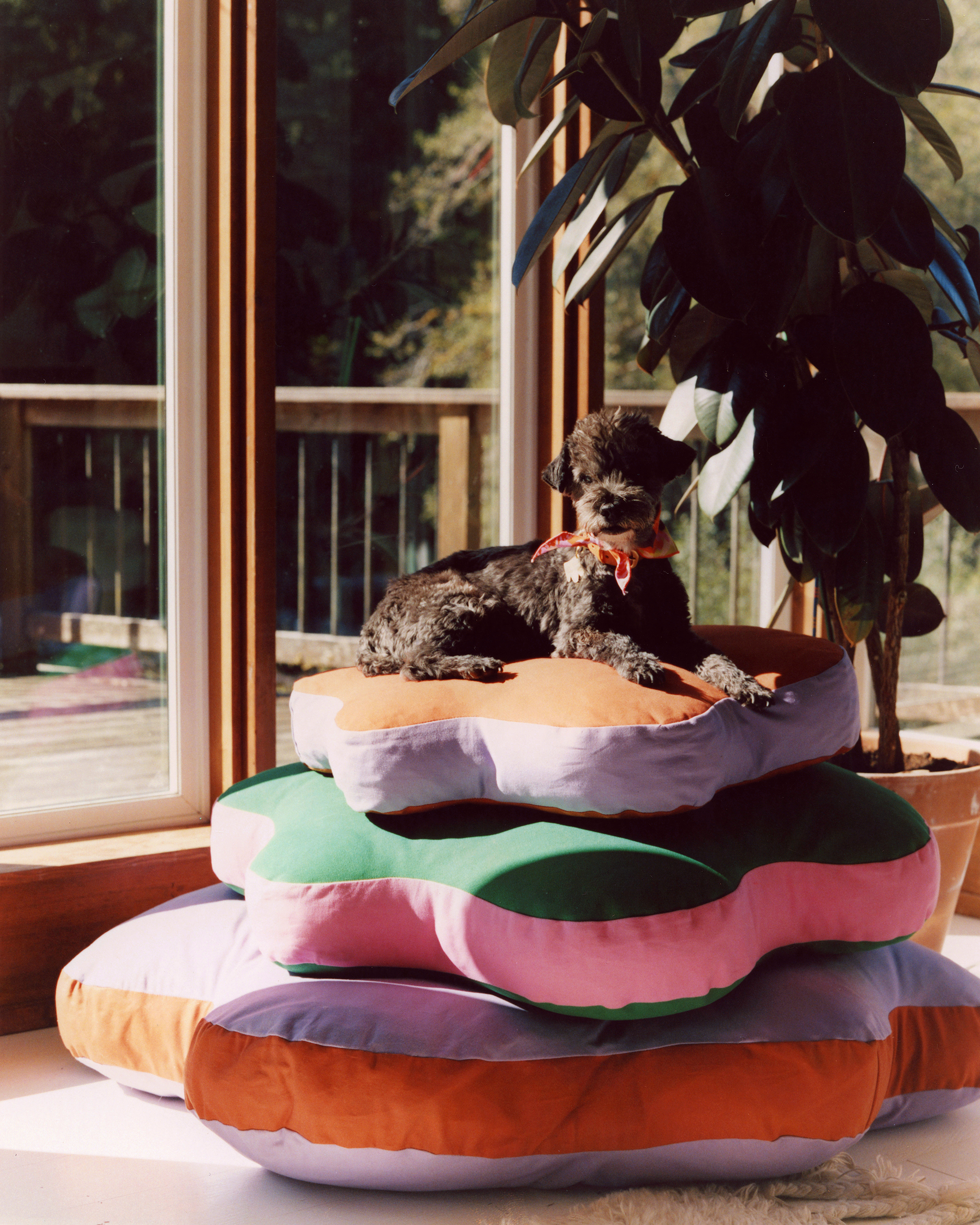 The "Paw-fect" Bed Small, Sample