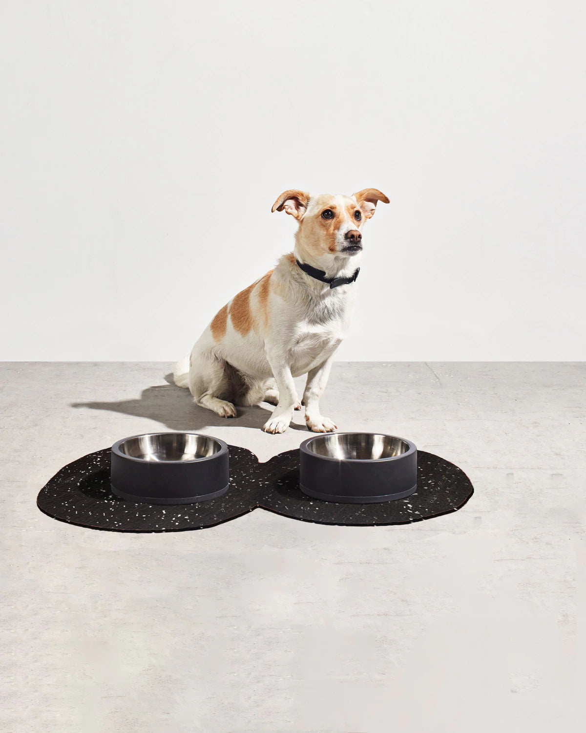 Shape Pet Mat Set 01
