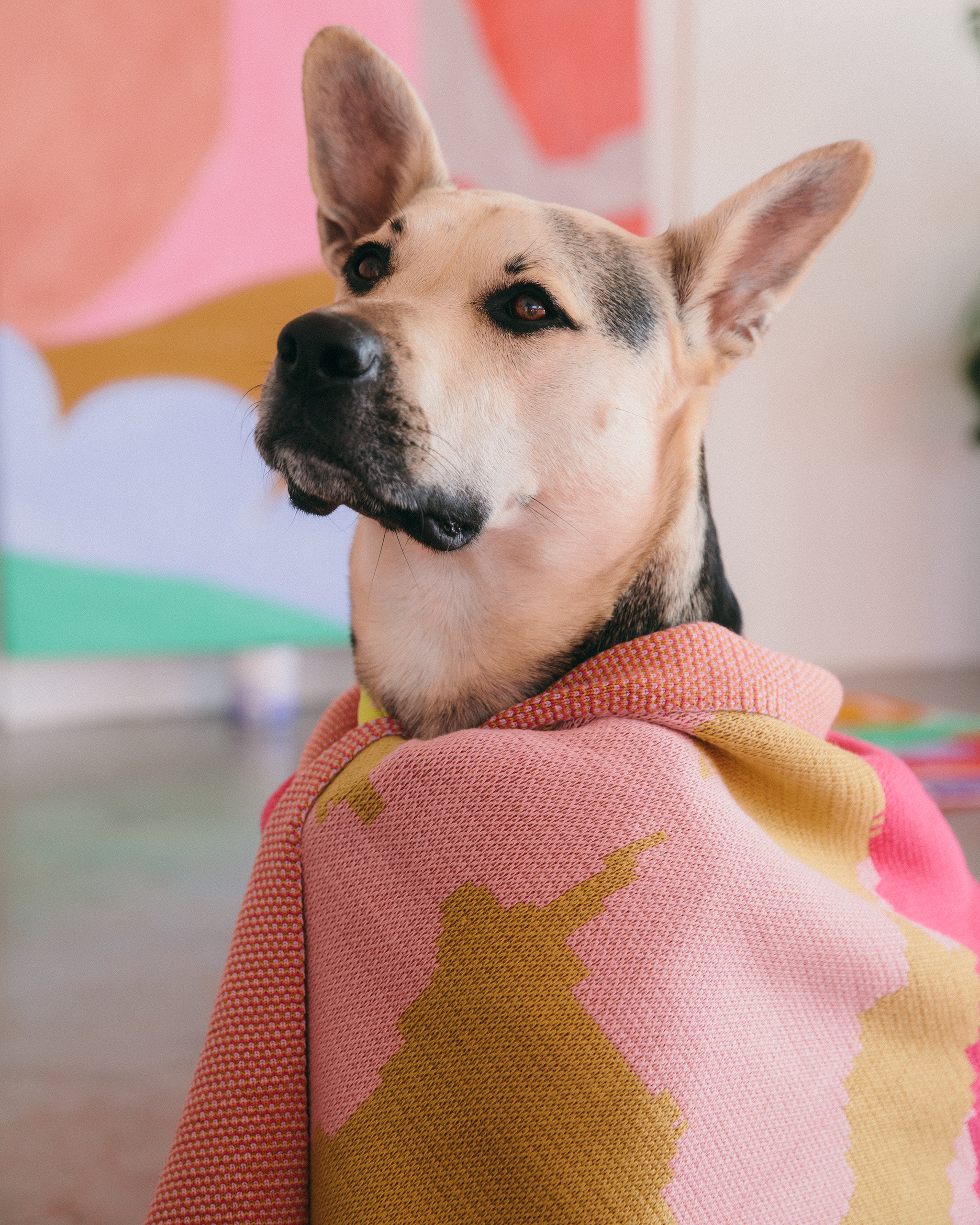 The "Fur" Blanket