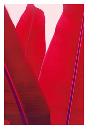 A Poster A Day—1220