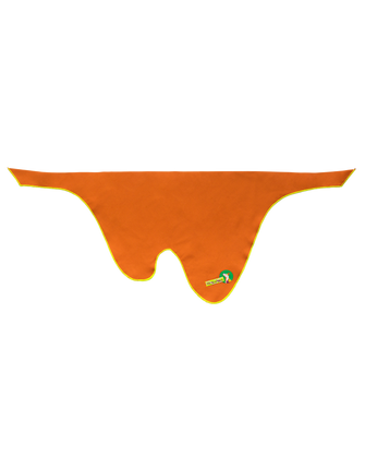 The "Canyon" Bandana