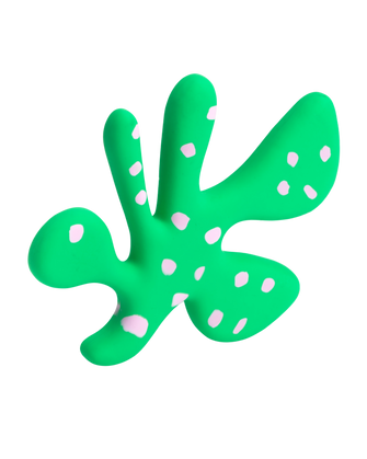 The "Petal" Toy