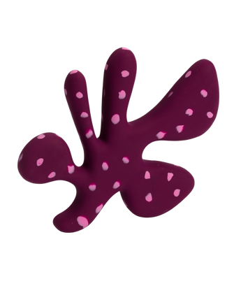 The "Petal" Toy