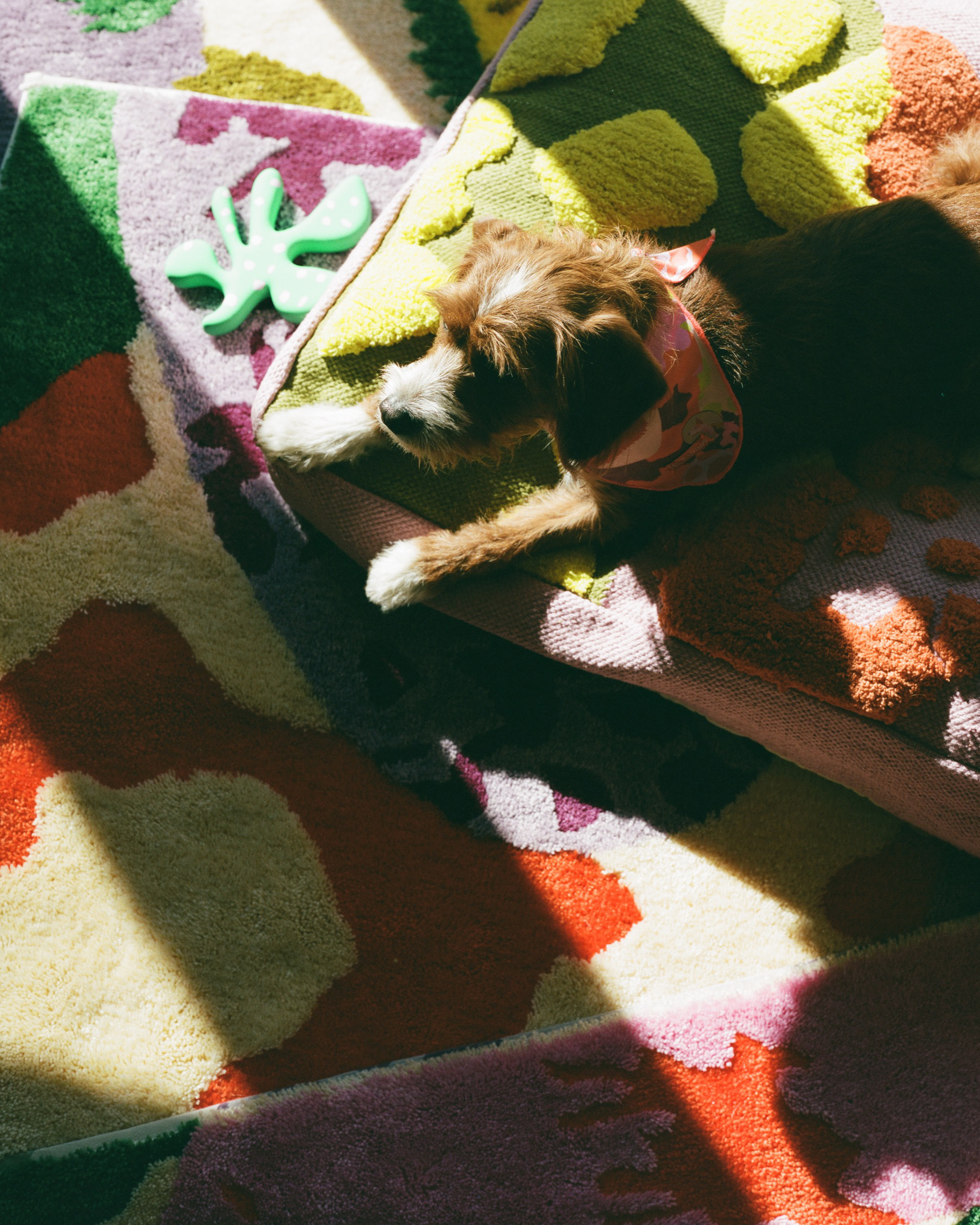 The "Buddy" All Purpose Mat