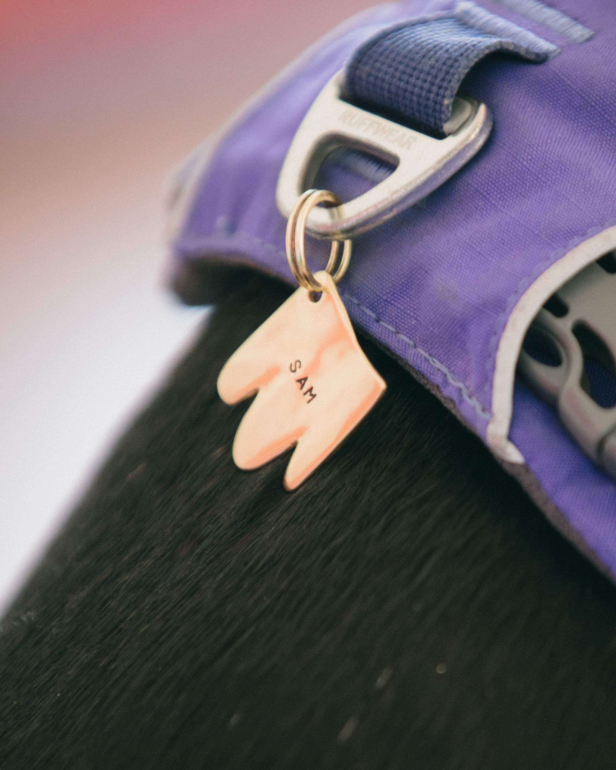 The "Paw" Tag